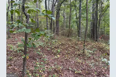 3834 Salacoa #-TRACT B, Waleska, GA 30183 - Photo 11