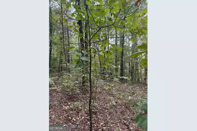 3826 Salacoa #-TRACT C, Waleska, GA 30183 - Photo 1