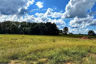 2944 Old Collard Valley Rd, Cedartown, GA 30125 - Photo 31