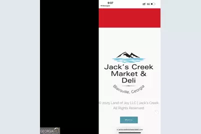 2532 Highway 325, Blairsville, GA 30512 - Photo 11