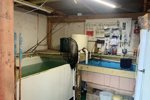 2532 Hwy 325, Blairsville, GA 30512 - Photo 13