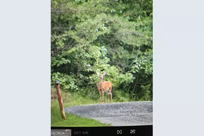 114 Aaron Drive, Toccoa, GA 30577 - Photo 63