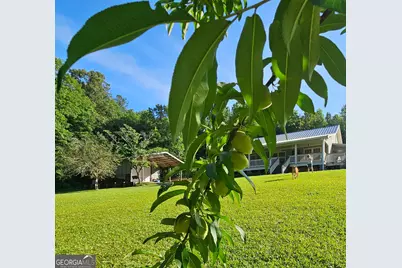 114 Aaron Drive, Toccoa, GA 30577 - Photo 65