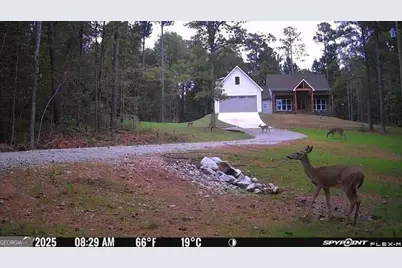 1650 Northwoods Drive, Greensboro, GA 30642 - Photo 55