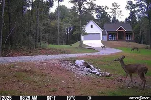 1650 Northwoods Dr, Greensboro, GA 30642 - Photo 55