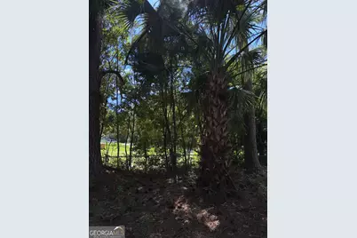 409 Davis Avenue, Tifton, GA 31794 - Photo 3