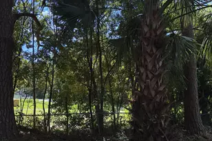 409 Davis Ave, Tifton, GA 31794 - Photo 3