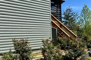 85 Foster Cove Rd, Blue Ridge, GA 30513 - Photo 57