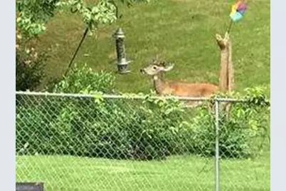 1558 Womack Road, Atlanta, GA 30338 - Photo 17