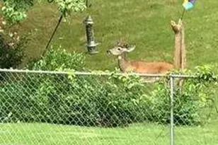 1558 Womack Rd, Atlanta, GA 30338 - Photo 17