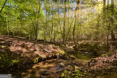 52 Hilary Court, Ellijay, GA 30540 - Photo 31