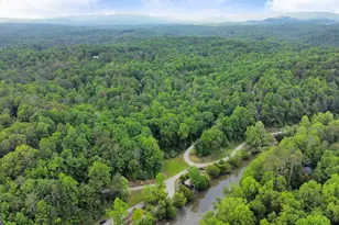 52 Hilary Ct, Ellijay, GA 30540 - Photo 27