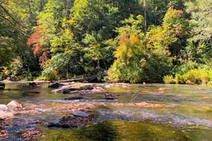 52 Hilary Ct, Ellijay, GA 30540 - Photo 59