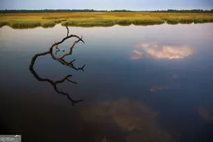 32 Oyster Flats Wynd, Brunswick, GA 31523 - Photo 63