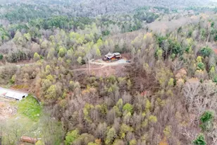 136 Pack Creek Rd, Blue Ridge, GA 30513 - Photo 19