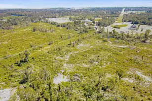 452 Murphy St, Midville, GA 30441 - Photo 9