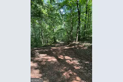 2470 Fears Road, Madison, GA 30650 - Photo 17