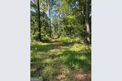 2470 Fears Road, Madison, GA 30650 - Photo 41