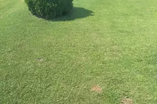 2909 Rusticwood Dr, Snellville, GA 30078 - Photo 13