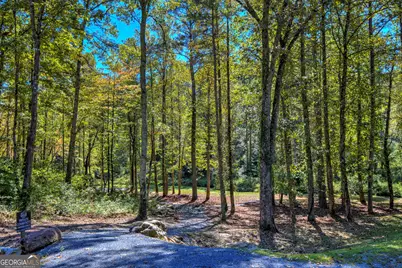 Lt 34 Hilton Drive, Ellijay, GA 30540 - Photo 7