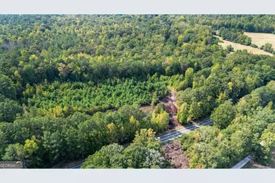 93.49 Acres Forrest Road, Grantville, GA 30220 - Photo 3