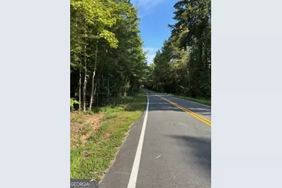 93.49 Acres Forrest Road, Grantville, GA 30220 - Photo 17