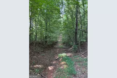 93.49 Acres Forrest Road, Grantville, GA 30220 - Photo 23