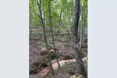 93.49 Acres Forrest Road, Grantville, GA 30220 - Photo 25