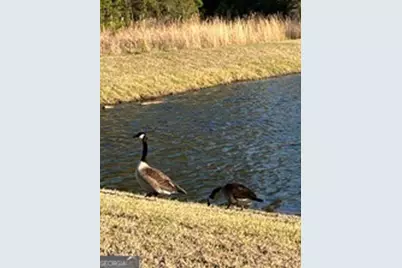 0 Coastal Walk, Saint Marys, GA 31558 - Photo 33