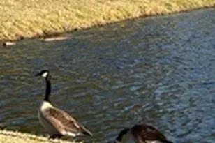 0 Coastal Walk, Saint Marys, GA 31558 - Photo 33