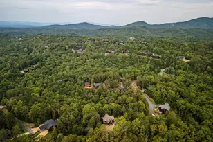 658 Highland Gap, Mineral Bluff, GA 30559 - Photo 45