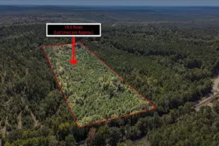 0 Mountain Springs Rd, Macon, GA 31217 - Photo 3