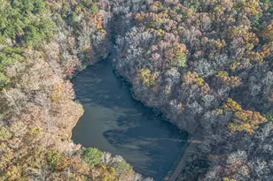 686 Newton Factory Bridge Rd, Covington, GA 30014 - Photo 99