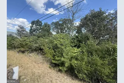 0 W Highway 136 Highway, Rising Fawn, GA 30738 - Photo 5