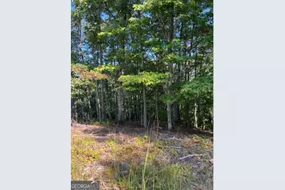 Lts 61 &amp; 62 Honeysuckle Way, Ellijay, GA 30540 - Photo 15