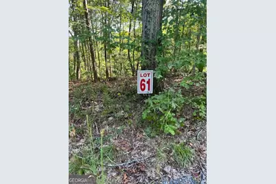 Lts 61 &amp; 62 Honeysuckle Way, Ellijay, GA 30540 - Photo 9