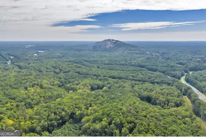 1542 Silver Hill Road, Stone Mountain, GA 30087 - Photo 39