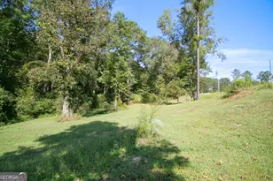 4282 South Hwy 29, Moreland, GA 30259 - Photo 53