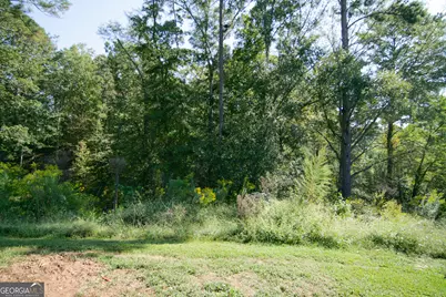 4282 South Hwy 29, Moreland, GA 30259 - Photo 47