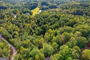 199 Tabitha Dr, Jasper, GA 30143 - Photo 75