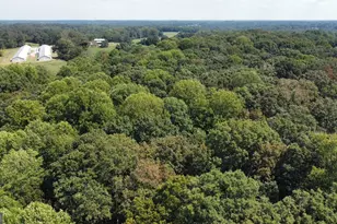 1057 Pleasant Hill Cir, Martin, GA 30557 - Photo 9