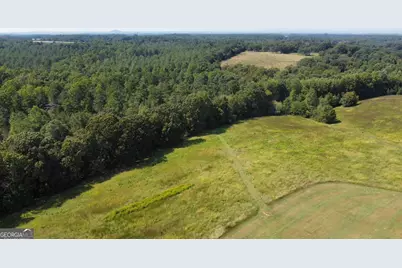 1057 Pleasant Hill Circle, Martin, GA 30557 - Photo 7