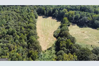 0 Anderson - Thomas Road, Martin, GA 30557 - Photo 5