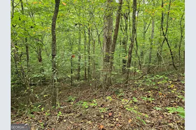 5965 Hickory Bend Drive, Douglasville, GA 30135 - Photo 13