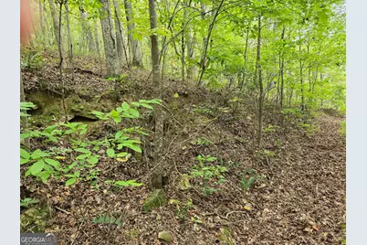 5965 Hickory Bend Drive, Douglasville, GA 30135 - Photo 11