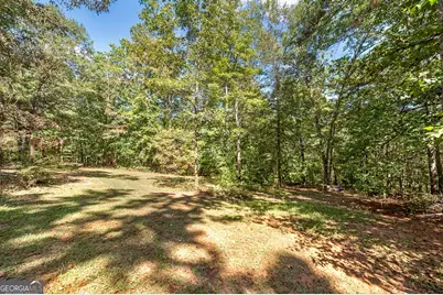 447 Grandview Road, Mansfield, GA 30055 - Photo 39