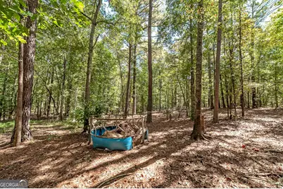 447 Grandview Road, Mansfield, GA 30055 - Photo 35