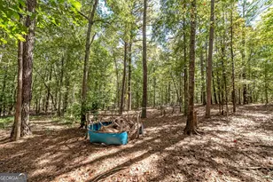 447 Grandview Rd, Mansfield, GA 30055 - Photo 35