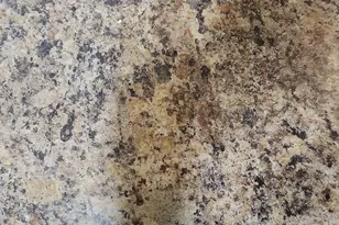 920 Ashland Ave, Columbus, GA 31907 - Photo 15