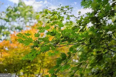 994 Whispering Pine Lane, Cherrylog, GA 30522 - Photo 65